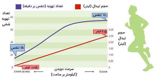 تهویه ششی در ورزش