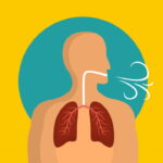 تنوع تبادلات گازی در جانوران – به زبان ساده