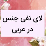 لای نفی جنس در عربی – کاربرد + توضیح و مثال