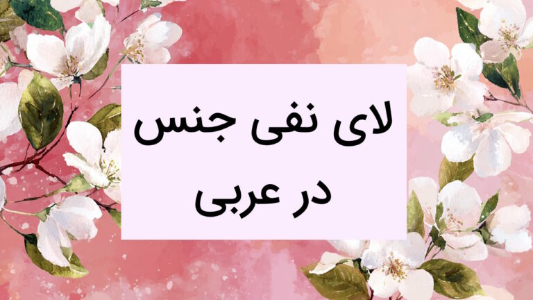 لای نفی جنس در عربی – کاربرد + توضیح و مثال
