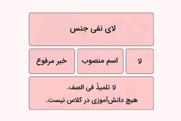 لای نفی جنس