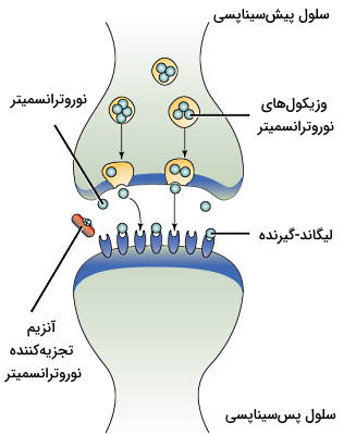 پیام رسانی پاراکرین