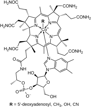 محاسبه جرم مولکولی ویتامین ب ۱۲