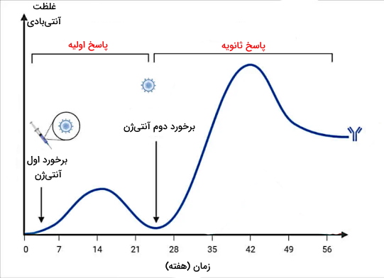 تفاوت پاسخ اول و دوم دفاع اختصاصی و غیراختصاصی