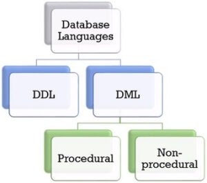 انواع زبان های برنامه نویسی دیتابیس چیست