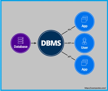 dbms چیست