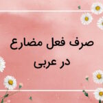 صرف فعل مضارع عربی – آموزش به زبان ساده + مثال و تمرین