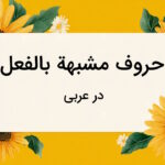 حروف مشبهه بالفعل در عربی چیست؟ – از صفر تا صد قواعد + مثال و تمرین