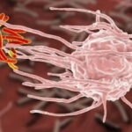 ایمنی ذاتی چیست؟ – به زبان ساده + تفاوت با ایمنی اکتسابی