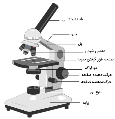 میکروسکوپ نوری