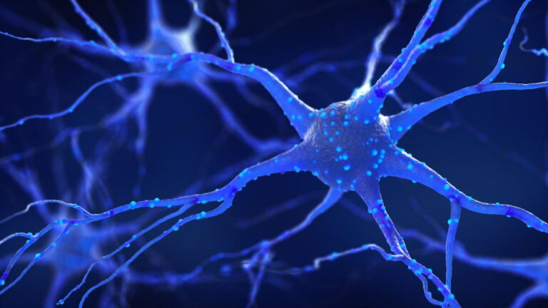 انواع نورون چیست؟ — به زبان ساده + شکل و عملکرد