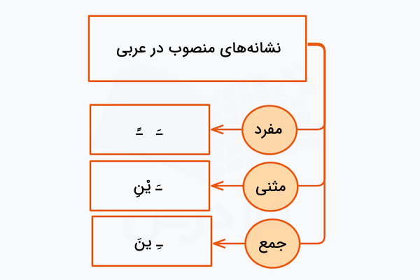 علامت های منصوب در عربی
