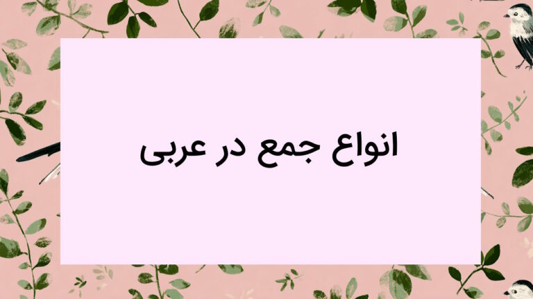 انواع جمع در عربی – به زبان ساده + مثال و تمرین