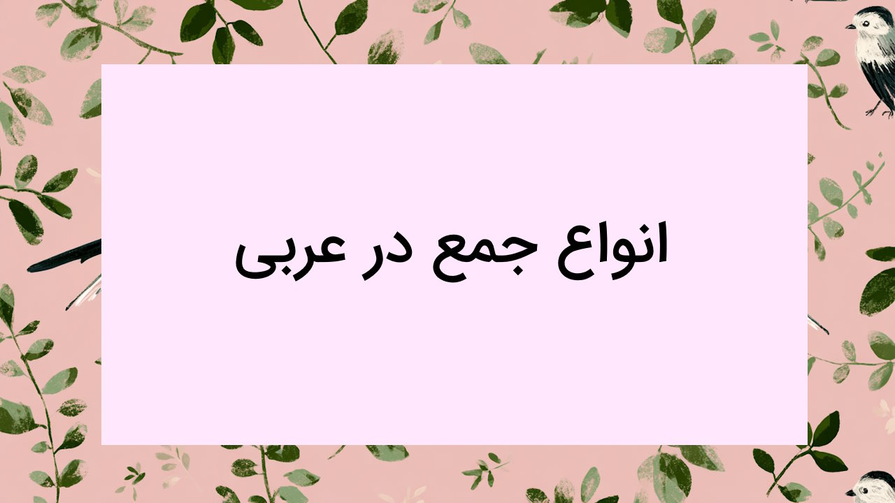 انواع جمع در عربی – به زبان ساده + مثال و تمرین