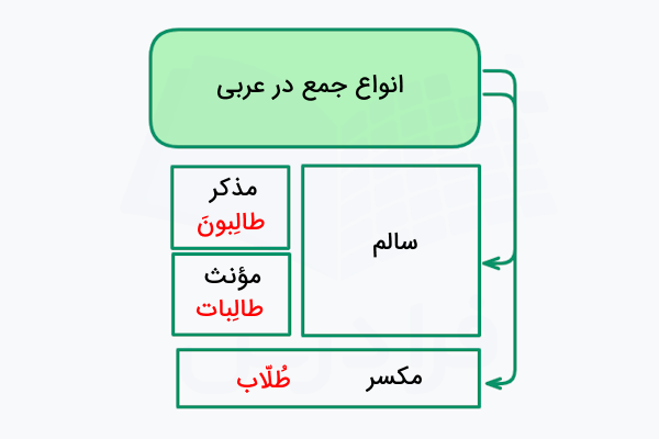 انواع جمع در عربی