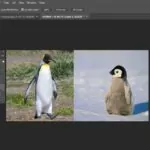 چسباندن دو عکس به هم در فتوشاپ و ۷ ابزار کاربردی