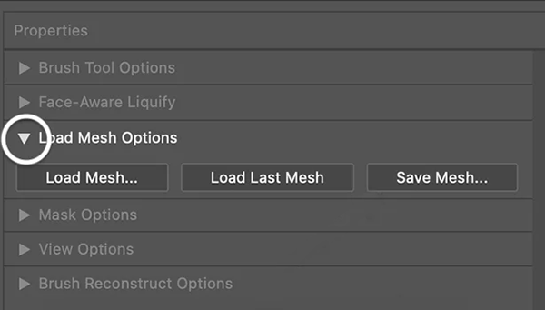 تنظیمات mesh در liquify