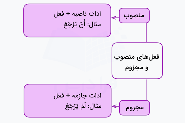 فعل منصوب و مجزوم در عربی