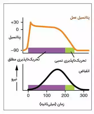 تحریک ناپذیری قلب