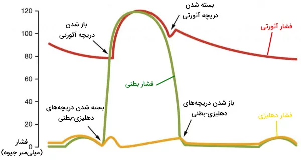 منحنی فشار قلب