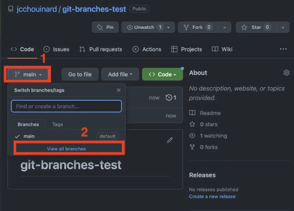 github branches 10