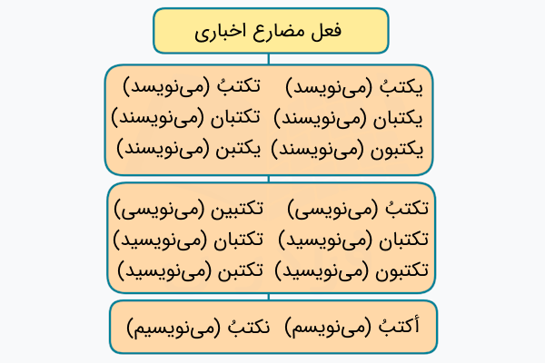 فعل مضارع اخباری در زبان عربی