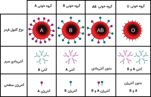ایمونوهماتولوژی گروه‌های خونی 