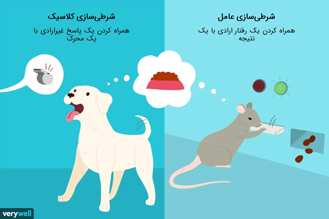 شرطی سازی
