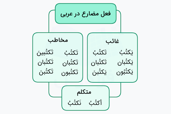 مثال فعل مضارع در عربی
