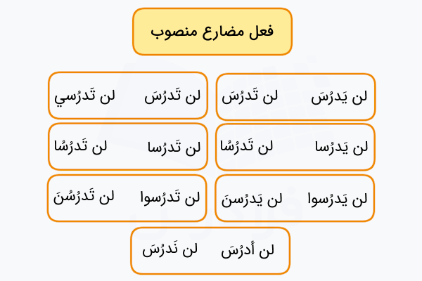 مثال فعل مضارع منصوب