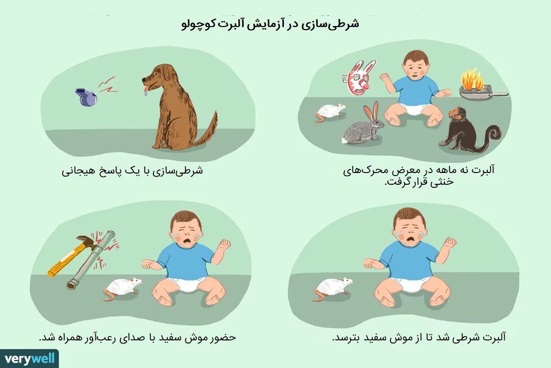 شرطی سازی کلاسیک آلبرت کوچولو
