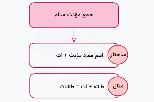 جمع مؤنث سالم در عربی
