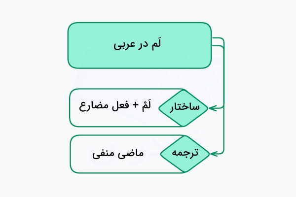 ادات لم در عربی