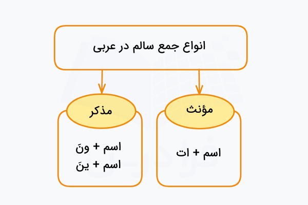انواع اسم جمع در عربی