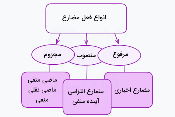 انواع فعل مضارع در عربی