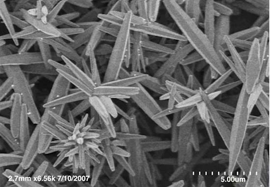 تصویر SEM از نانوسیم و نانوگل های ZnO