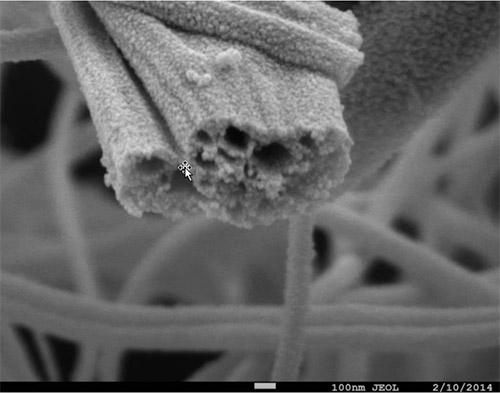 تصویر به‌دست آمده توسط میکروسکوپ الکترونی روبشی در مقیاس بسیار کوچک تر 