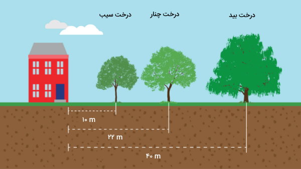 تصویر گرافیکی نمایش دهنده فاصله ایمن برخی از انواع درختان تا ساختمان