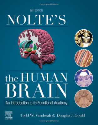 کتاب آناتومی مغز انسان 