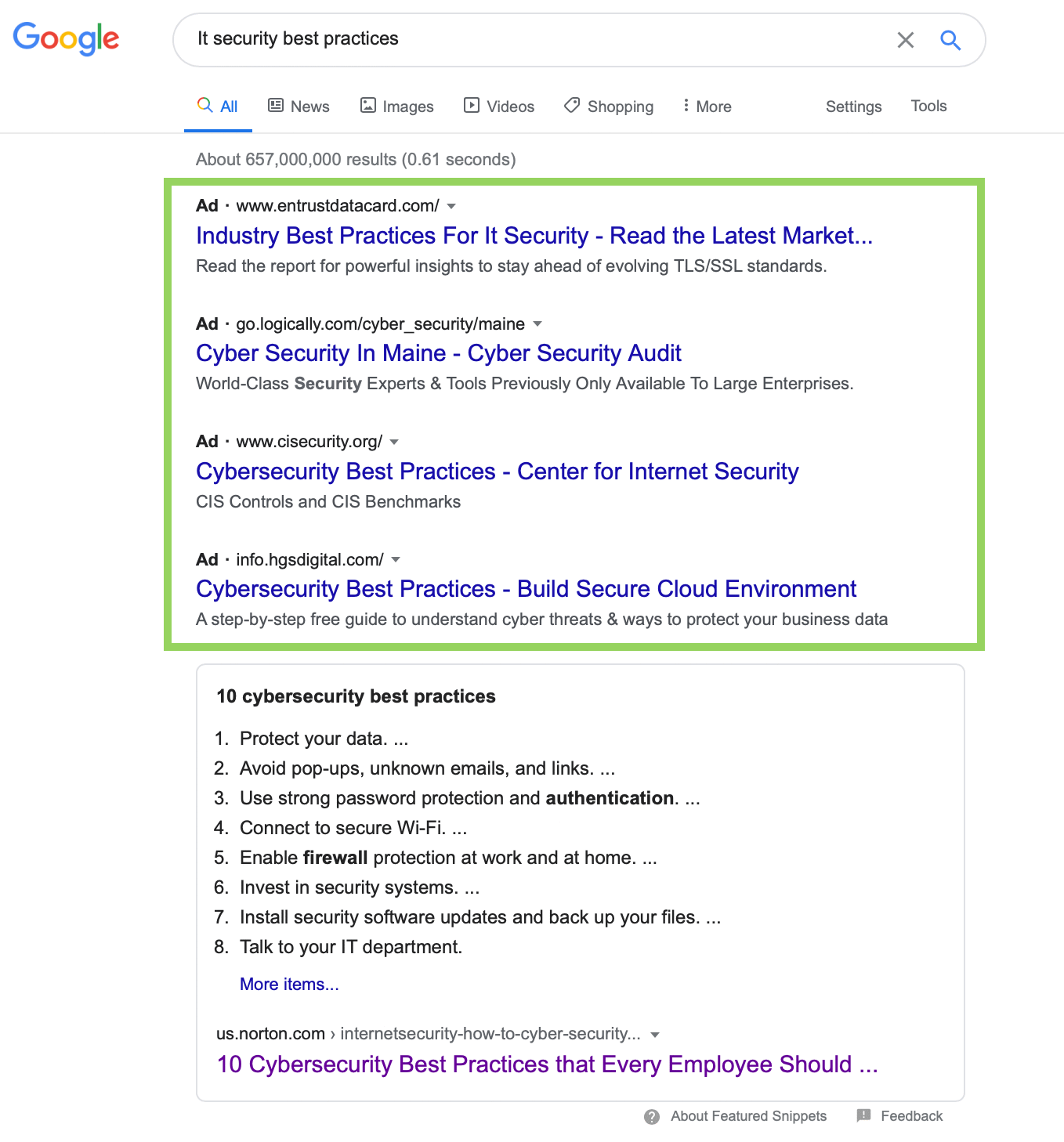 فهرست های جستجوی پولی