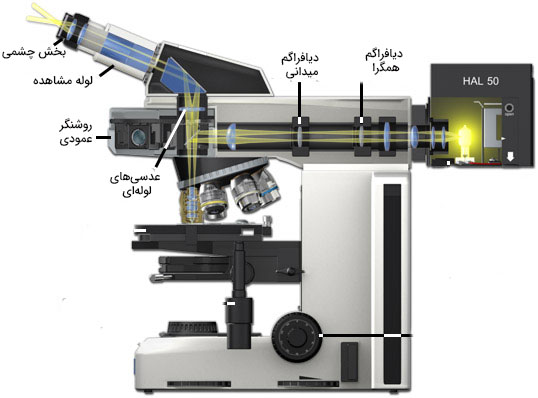 میکروسکوپ نوری انعکاسی