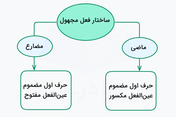 ساختار فعل مجهول در عربی