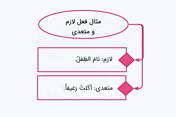 مثال فعل لازم و متعدی در عربی