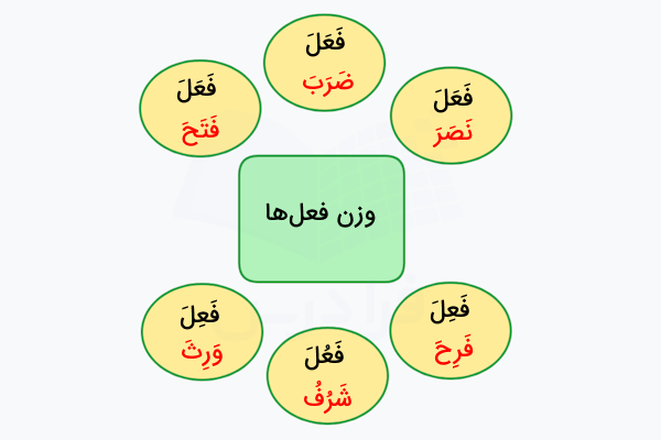 وزن فعل در عربی