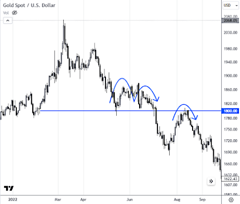 الگوی جهش گربه مرده