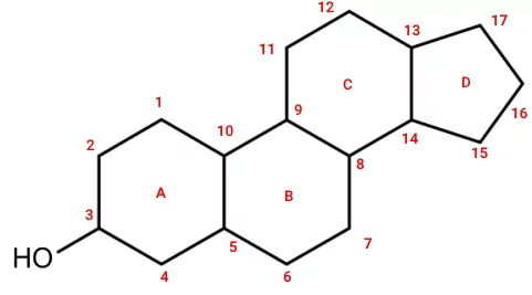 ساختار استرول - تفاوت چربی و استروئید