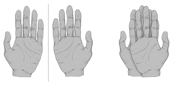 دست انسان به عنوان شی انانتیومر