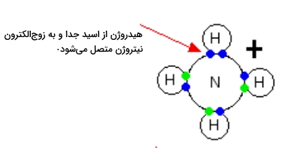 واکنش آمونیاک و اسید