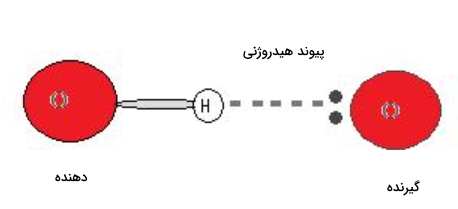 دهنده و گیرنده در پیوند هیدروژنی