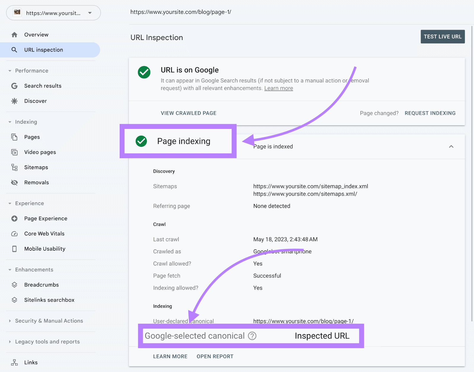 گزارش page indexing سرچ کنسول گوگل